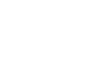 Vertex Logical Solutions